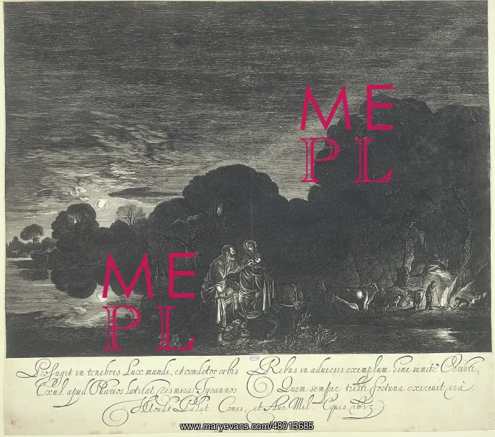 : The flight to Egypt : The flight to Egypt