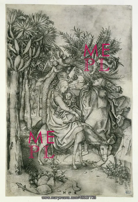 : The flight into Egypt : The flight into Egypt
