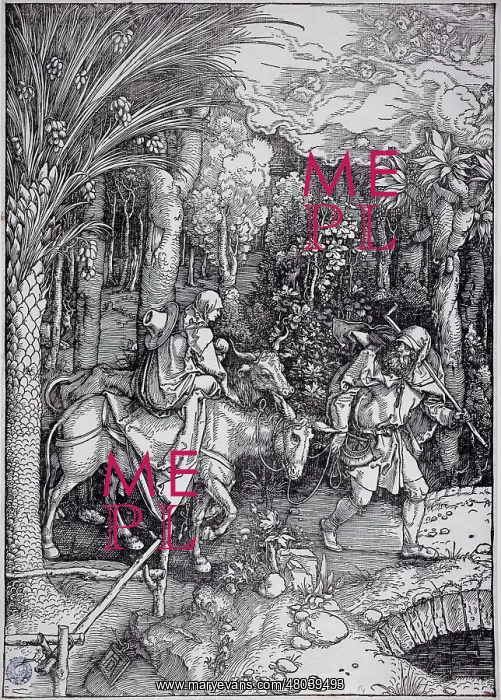 : The flight into Egypt : The flight into Egypt