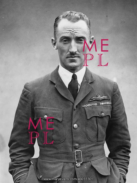 : The Flight Lieutenant D'Arcy Greig : The Flight Lieutenant D'Arcy Greig