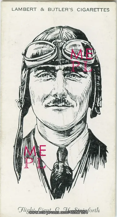  : Flight Lieutenant G H Stainforth, pilot