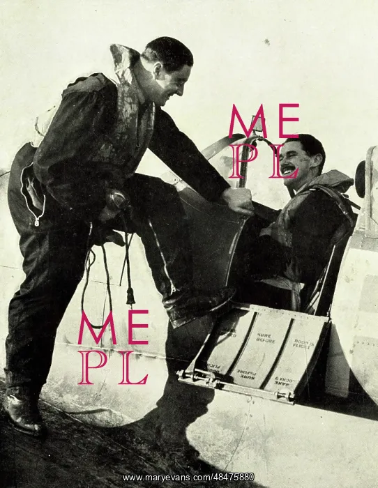 : Flight Lt H.M. Stephen, Squadron Leader J.C. Mungo-Park : Flight Lt H.M. Stephen, Squadron Leader J.C. Mungo-Park