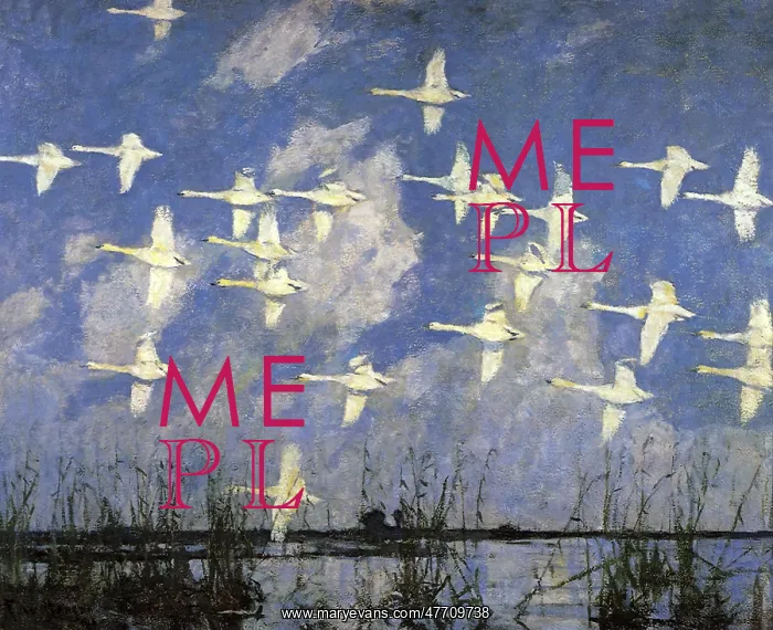  : Flight of Swans