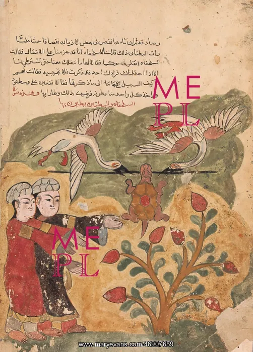 : The Flight of the Tortoise, Folio from a Kalila : The Flight of the Tortoise, Folio from a Kalila