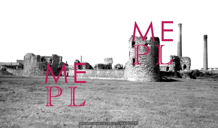  : Flint, the Castle c1955