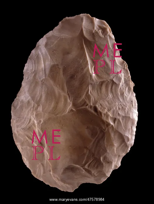 : Flint hand-axe : Flint hand-axe