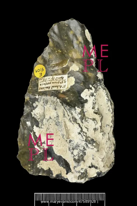 : Flint hand axe : Flint hand axe