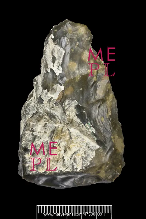 : Flint hand axe : Flint hand axe