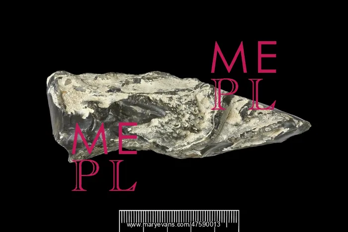 : Flint hand axe : Flint hand axe