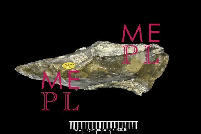 : Flint hand axe : Flint hand axe