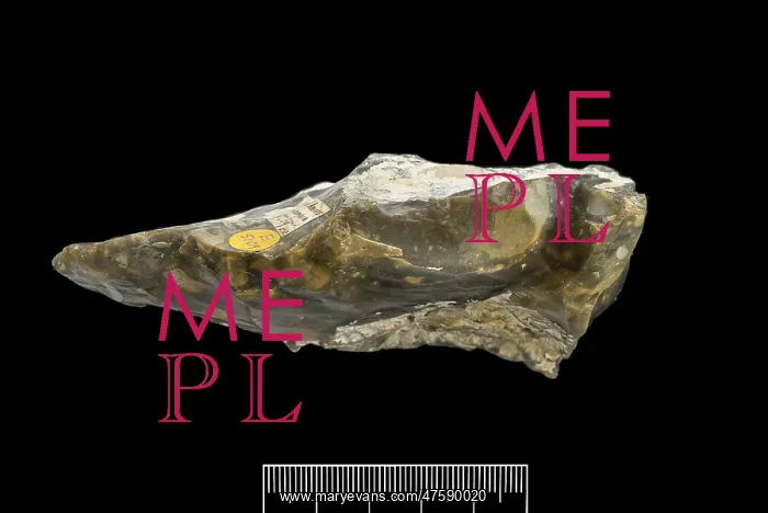 : Flint hand axe : Flint hand axe