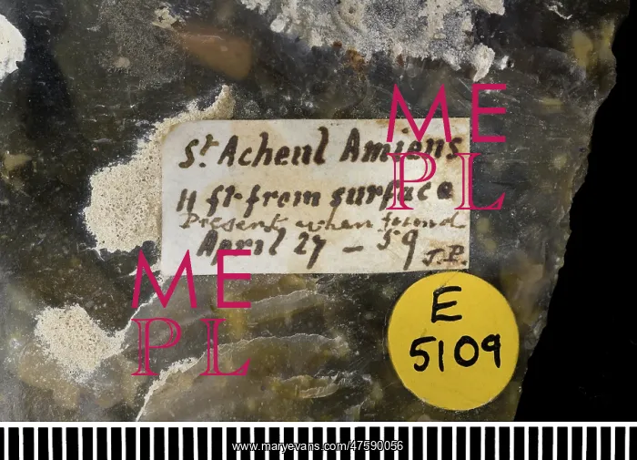 : Flint hand axe (label) : Flint hand axe (label)