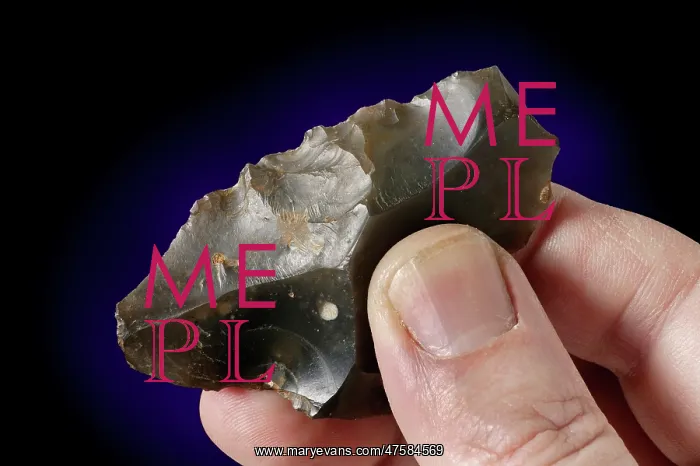 : Flint tool : Flint tool