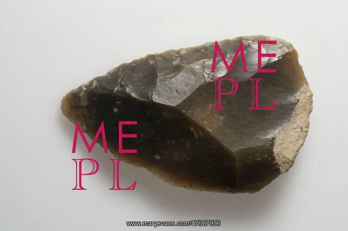 : Flint tool : Flint tool