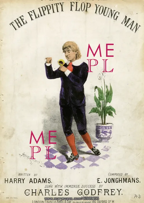 : The Flippity Flop Young Man by Harry Adams and E Jonghmans : The Flippity Flop Young Man by Harry Adams and E Jonghmans