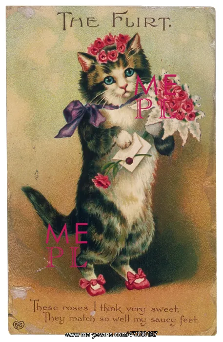  : THE FLIRT CAT 19C