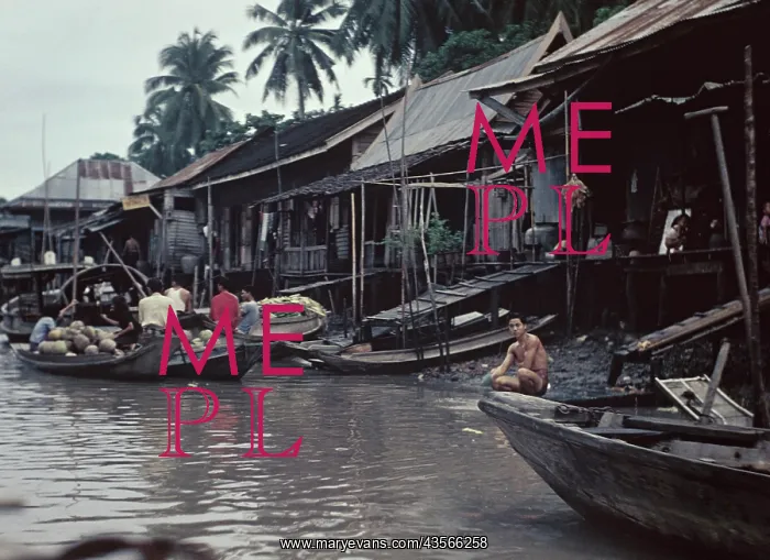 : Floating bazaar - Thailand : Floating bazaar - Thailand