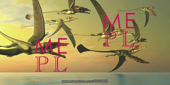 : A flock of Eudimorphodon flying reptiles : A flock of Eudimorphodon flying reptiles