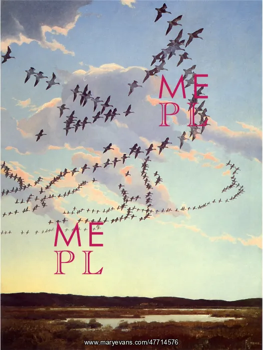  : Flock of Geese