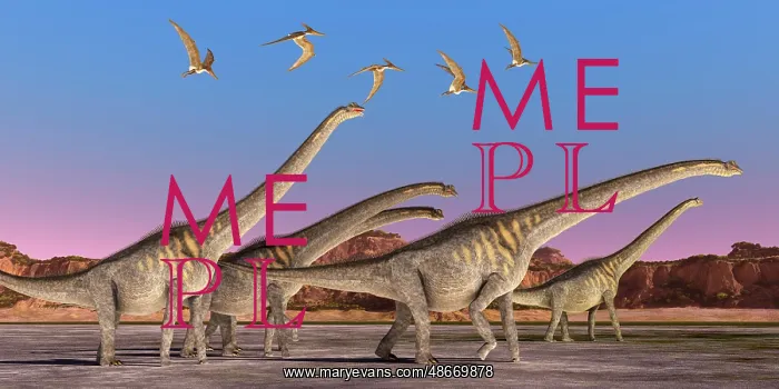 : A flock of Pteranodon reptiles fly over a herd : A flock of Pteranodon reptiles fly over a herd