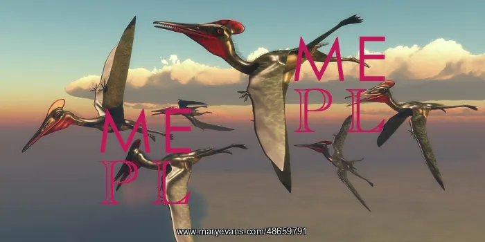 : A flock of Pterodactylus pterosaurs flying in the sky : A flock of Pterodactylus pterosaurs flying in the sky