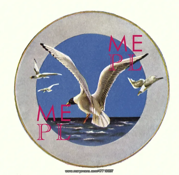  : Flock of Seagulls