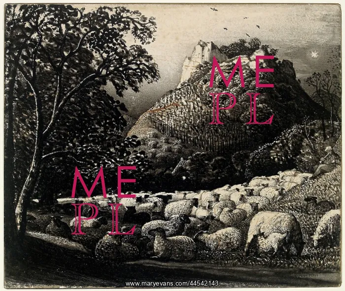 : The Flock and the Star : The Flock and the Star