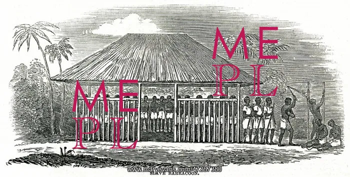 : Flogging African slaves 1849 : Flogging African slaves 1849