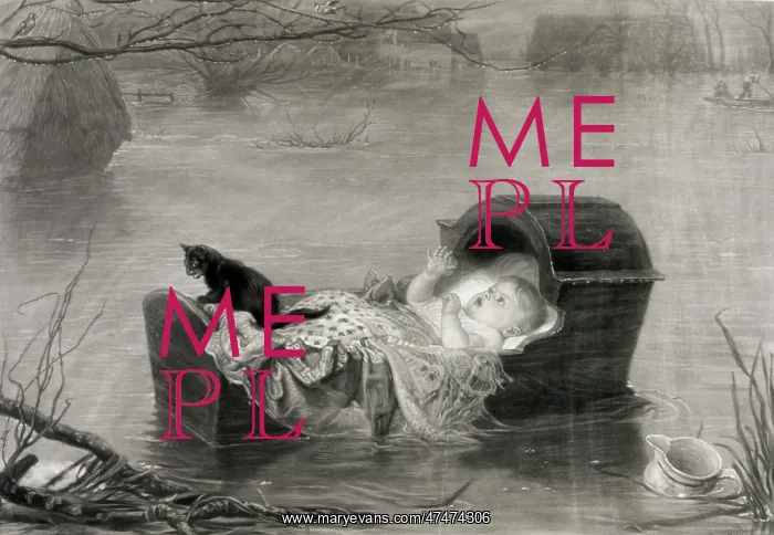 : A flood. Print showing a baby and a kitten in a cradle floating on flood waters : A flood. Print showing a baby and a kitten in a cradle floating on flood waters