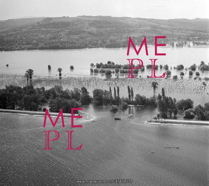 : Flood - broken river bank - Danube River : Flood - broken river bank - Danube River