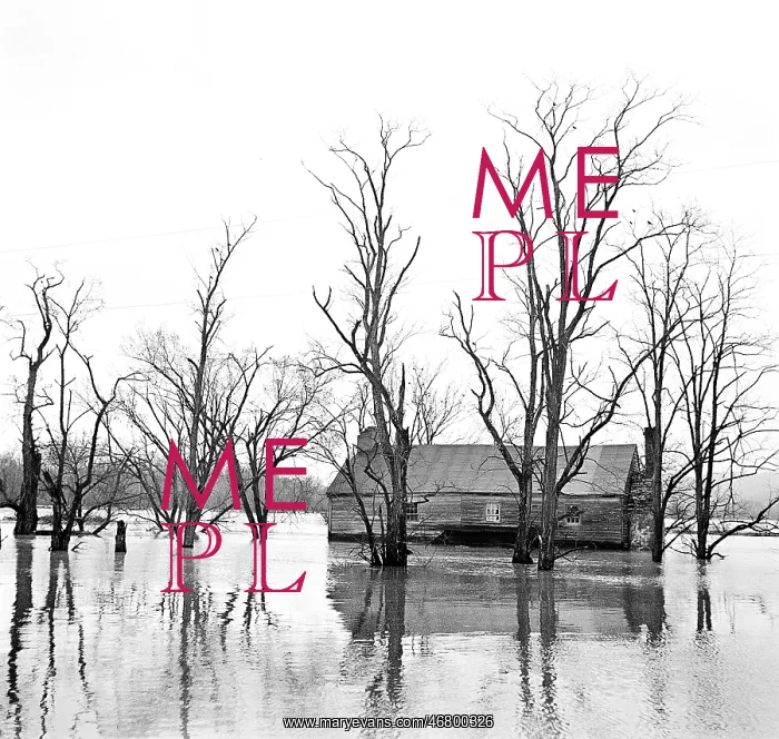 : Flood - natural disaster - Shenandoah river : Flood - natural disaster - Shenandoah river