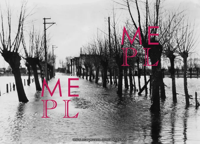 : Flooded area behind the Atlantic Wall, 1944 : Flooded area behind the Atlantic Wall, 1944