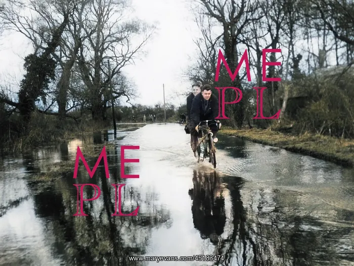 : FLOODED COUNTRY LANE : FLOODED COUNTRY LANE