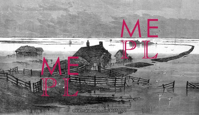 : Flooded fens around the Coffer Dam 1862 : Flooded fens around the Coffer Dam 1862