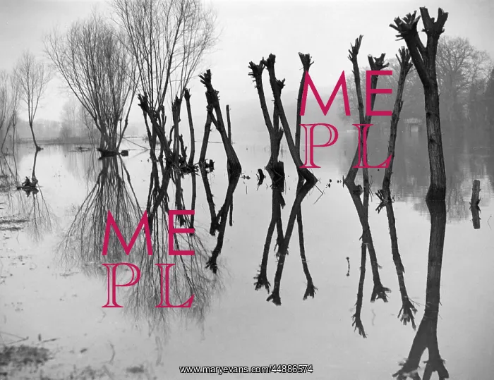 : FLOODED THAMES 1939 : FLOODED THAMES 1939