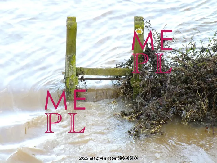 : Flooding in Worcester area, Worcestershire : Flooding in Worcester area, Worcestershire
