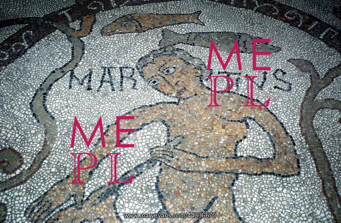 : Detail of a floor mosaic : Detail of a floor mosaic