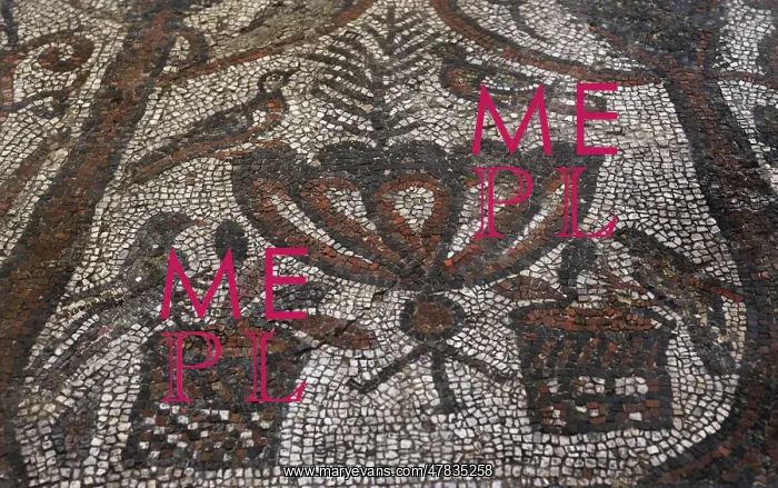 : Floor mosaic from the Basilica of St. Sophia : Floor mosaic from the Basilica of St. Sophia