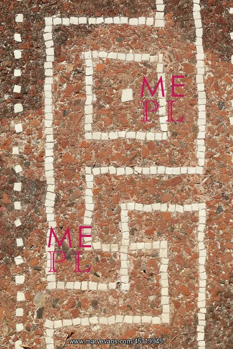 : Floor mosaic, House of the Arpocrate, Solunto, Sicily, Italy : Floor mosaic, House of the Arpocrate, Solunto, Sicily, Italy