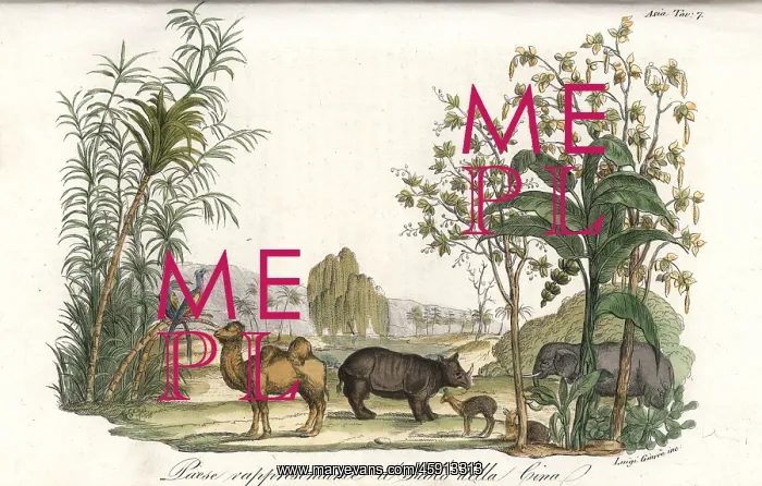 : Flora and fauna of Asia, including elephant : Flora and fauna of Asia, including elephant
