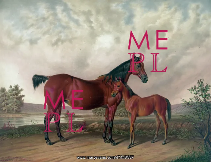  : Flora Temple and her colt