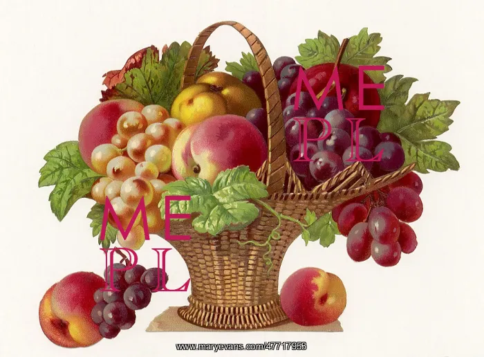 : Floral Basket : Floral Basket
