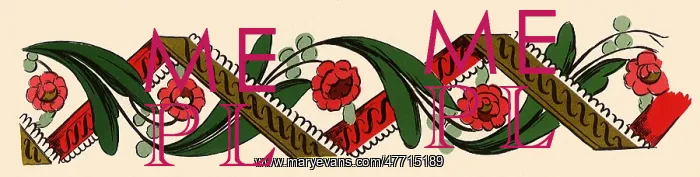  : Floral Border