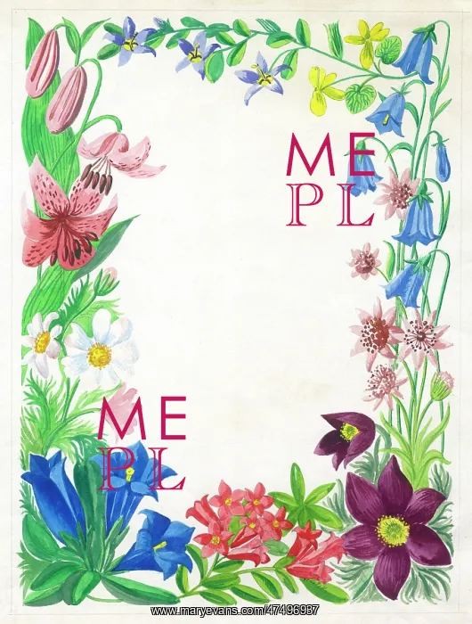  : Floral border design