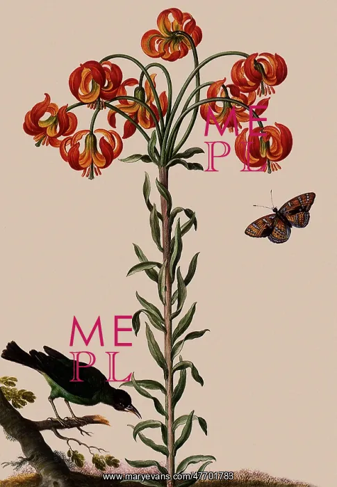 : Floral Botanical