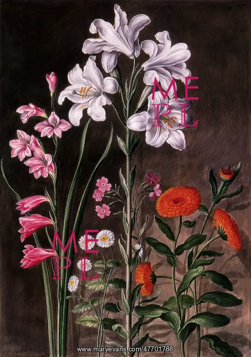  : Floral Botanical