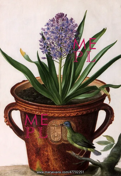  : Floral Botanical