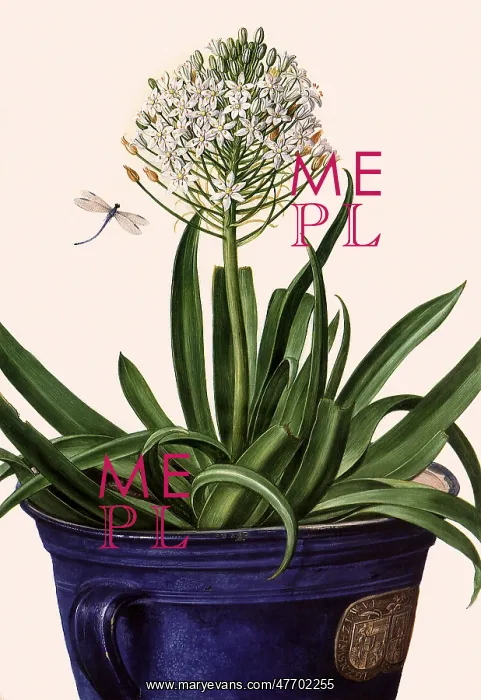  : Floral Botanical