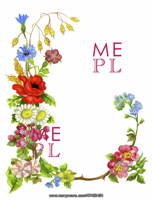 : Floral frame with poppy and cornflower : Floral frame with poppy and cornflower