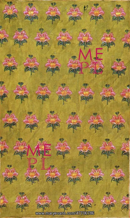 : Floral Indian Pattern : Floral Indian Pattern